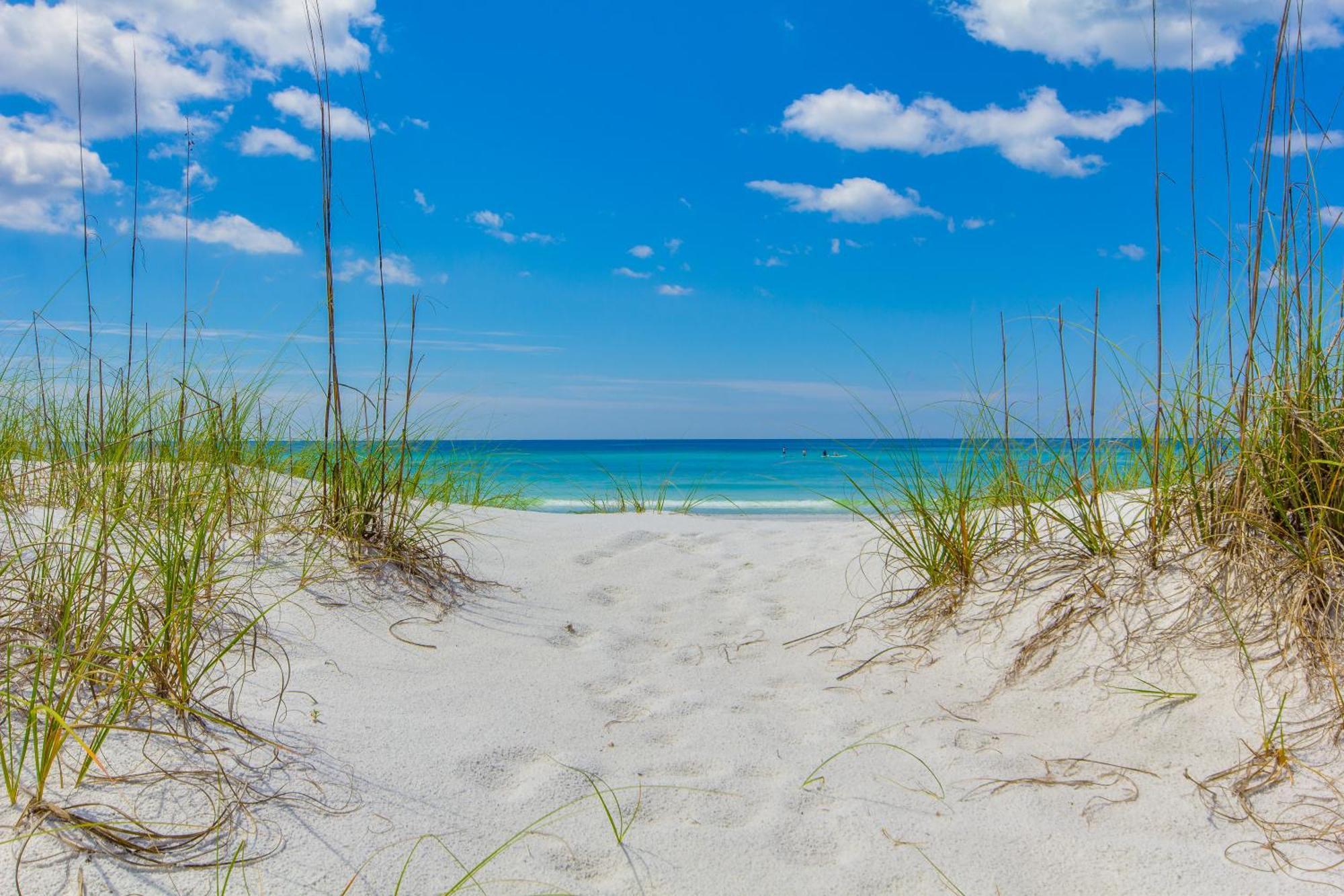 Penthouse With Beautiful Beach Views! 1 Bedroom, 2 Bathroom Penthouse! Panama City Beach Eksteriør bilde